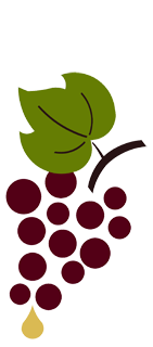Salathe Weinbau